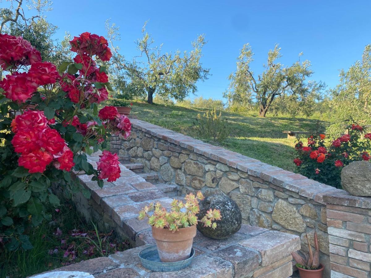 Agriturismo Casallario Volterra Exteriér fotografie
